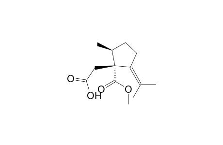 Cyclopentaneacetic acid, 1-(methoxycarbonyl)-2-methyl-5-(1-methylethylidene)-, (1R-cis)-