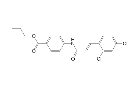 propyl 4-{[(2E)-3-(2,4-dichlorophenyl)-2-propenoyl]amino}benzoate