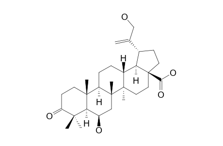 6-BETA,30-DIHYDROXY-3-OXO-LUP-20-(29)-EN-28-OIC_ACID