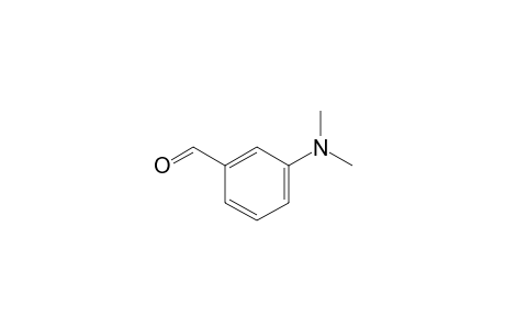 3-Dimethylamino-benzaldehyde