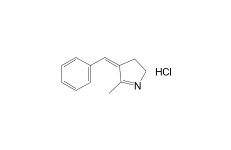 3-benzylidene-2-methyl-1-pyrroline, hydrochloride