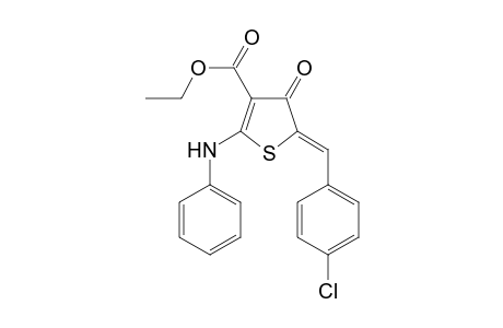 Ethyl (5Z)-2-anilino-5-(4-chlorobenzylidene)-4-oxo-4,5-dihydro-3-thiophenecarboxylate