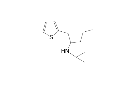 N-(t-Butyl)-1-(2'-thienyl)-2-propylpentyl-2-amine