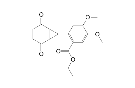 ETHYL-4,5-DIMETHOXY-2-[(1'R*,6'S*,7'S*)-2',5'-DIOXO-3'-NORCAREN-7'-YL]-BENZOATE