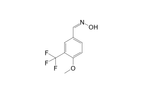 4-Methoxy-3-(trifluoromethyl)benzaldoxime