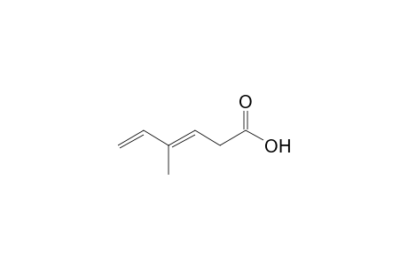 (3E)-4-methylhexa-3,5-dienoic acid