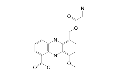 PELAGIOMICIN_C;GLYCYLGRISEOLUTEIC_ACID