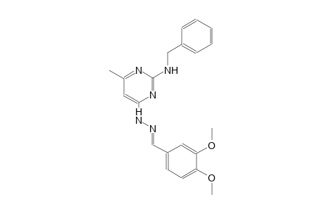 3,4-dimethoxybenzaldehyde [2-(benzylamino)-6-methyl-4-pyrimidinyl]hydrazone