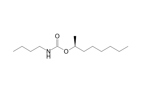 (S)-(+)-N-Butyl-2-octyl carbamate