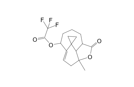 6-(Trifluoroacetoxy)-10-methyl-10-hydroxy-2-carboxy-spiro[bicyclo[5.3,1]undec-7-ene-11.1'-cyclopropane]-2,10-lactone