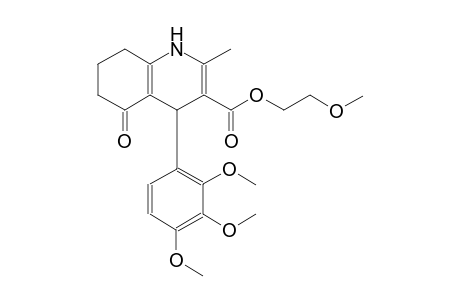 2-methoxyethyl 2-methyl-5-oxo-4-(2,3,4-trimethoxyphenyl)-1,4,5,6,7,8-hexahydro-3-quinolinecarboxylate