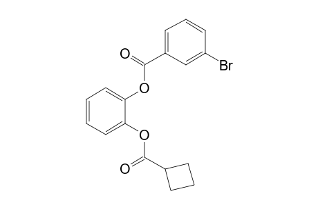 1,2-Benzenediol, o-(3-bromobenzoyl)-o'-(cyclobutanecarbonyl)-