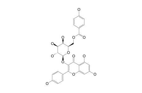KAEMPFEROL-3-O-BETA-D-(6''-PARA-HYDROXYBENZOYL)-GALACTOPYRANOSIDE