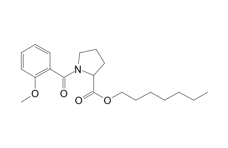 L-Proline, N-(2-methoxybenzoyl)-, heptyl ester