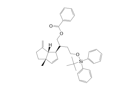 (1S,4S,5S)-4-(1-((Benzoyloxymethyl)-3-((tert-butyldiphenylsilyl)oxy)propyl)-1-methyl-6-methylenebicyclo[3.3.0]oct-2-ene