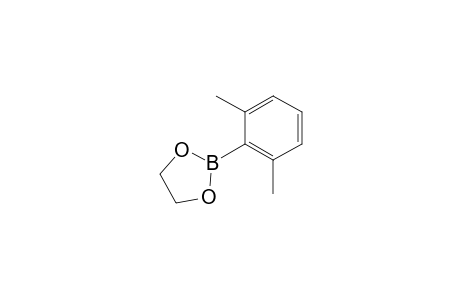 2-(2,6-dimethylphenyl)-1,3,2-dioxaborolane