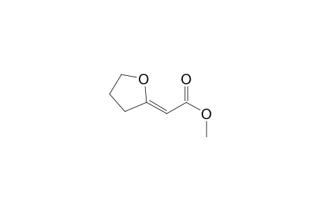 (2Z)-2-(2-oxolanylidene)acetic acid methyl ester