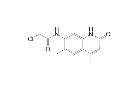 2-chloro-N-(4,6-dimethyl-2-oxo-1,2-dihydro-7-quinolinyl)acetamide