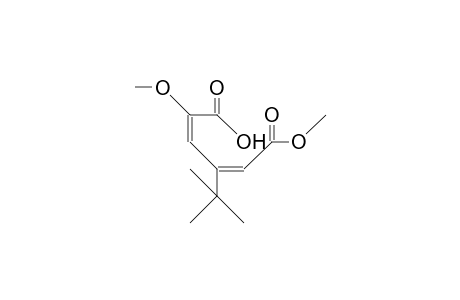 2-Methoxy-4-tert.-butyl-2(Z),4(Z)-hexadienedioic-acid-6-methylester