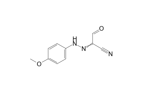 N-(4-methoxyanilino)-2-oxo-acetimidoyl cyanide