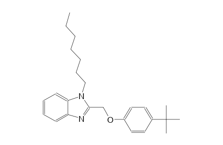 2-[(4-tert-butylphenoxy)methyl]-1-heptyl-1H-benzimidazole