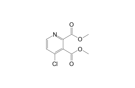 4-Chloropyridine-2,3-dicarboxylic Acid Dimethyl Ester