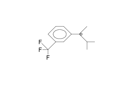 2-(3-Trifluoromethyl-phenyl)-2-methyl-2-butylium cation