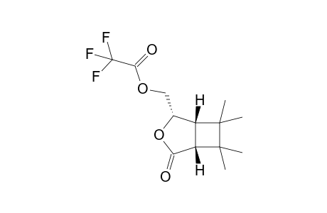 [(1S,2S,5R)-6,6,7,7-tetramethyl-4-oxidanylidene-3-oxabicyclo[3.2.0]heptan-2-yl]methyl 2,2,2-tris(fluoranyl)ethanoate