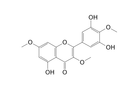 2-(3,5-dihydroxy-4-methoxy-phenyl)-5-hydroxy-3,7-dimethoxy-chromen-4-one