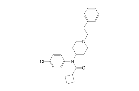 para-Chloro Cyclobutyl fentanyl