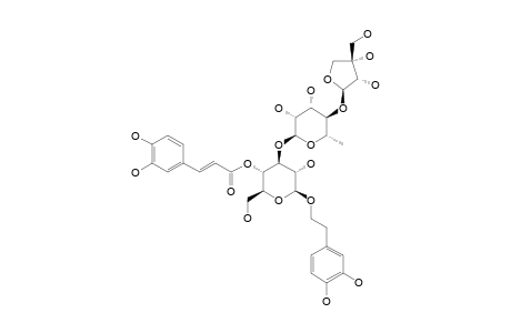 SAMIOSIDE;1-O-3,4-(DIHYDROXYPHENYL)-ETHYL-BETA-D-APOIFURANOSYL-(1->4)-ALPHA-L-RHAMNOPYRANOSYL-(1->3)-4-O-CAFFEOYL-BETA-D-GLUCOPYRANOSIDE