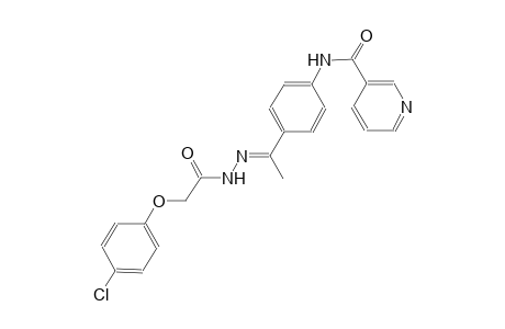 N-(4-{(1E)-N-[(4-chlorophenoxy)acetyl]ethanehydrazonoyl}phenyl)nicotinamide