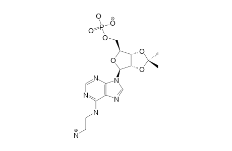 2',3'-ISOPROPYLIDENE-N6-AMINOETHYL-ADENOSINE-5'-MONOPHOSPHATE;N6-AE-AMP-AC