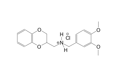 1,4-benzodioxin-2-methanaminium, N-[(3,4-dimethoxyphenyl)methyl]-2,3-dihydro-, chloride