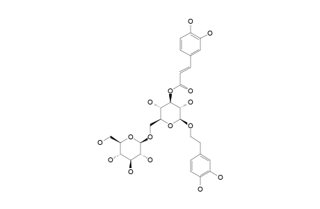 ISOLUGRANDOSIDE;2-(3,4-DIHYDROXYPHENYL)-ETHYL-O-BETA-D-GLUCOPYRANOSYL-(1->6)-3-O-TRANS-CAFFEOYL-BETA-D-GLUCOPYRANOSIDE