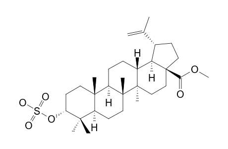 3-EPI-BETULINIC-ACID-3-O-SULPHATE-METHYLESTER