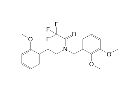 N-(2,3-dimethoxybenzyl)-2,2,2-trifluoro-N-(2-methoxyphenethyl)acetamide