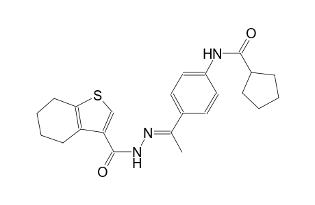 N-{4-[(1E)-N-(4,5,6,7-tetrahydro-1-benzothien-3-ylcarbonyl)ethanehydrazonoyl]phenyl}cyclopentanecarboxamide