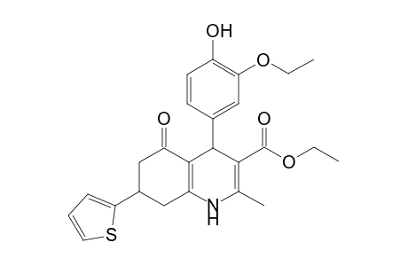 4-(3-Ethoxy-4-hydroxy-phenyl)-5-keto-2-methyl-7-(2-thienyl)-4,6,7,8-tetrahydro-1H-quinoline-3-carboxylic acid ethyl ester