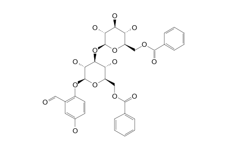 FLACOURTOSIDE_C