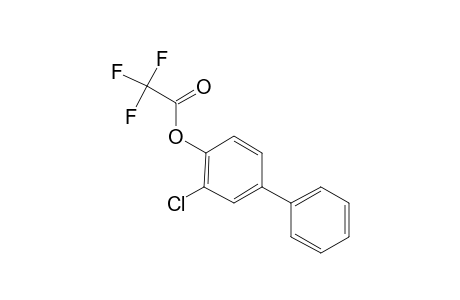 4-Hydroxy-3-chlorobiphenyl, trifluoroacetate