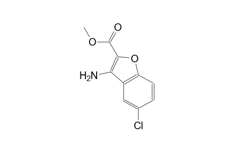 3-Amino-5-chloro-benzofuran-2-carboxylic acid methyl ester
