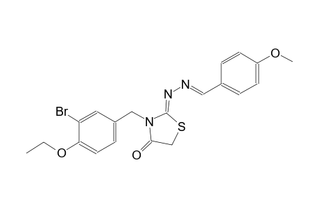 4-methoxybenzaldehyde [(2Z)-3-(3-bromo-4-ethoxybenzyl)-4-oxo-1,3-thiazolidin-2-ylidene]hydrazone