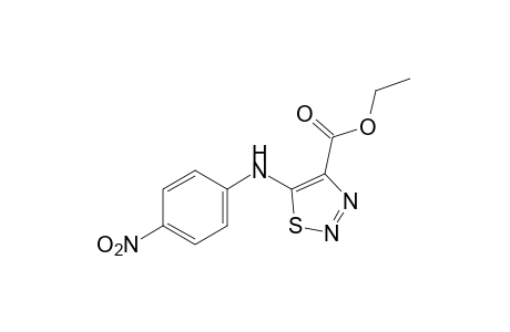 5-(p-nitroanilino)-1,2,3-thiadiazole-4-carboxylic acid, ethyl ester