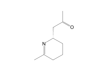 1,2-Dehydropinidinone