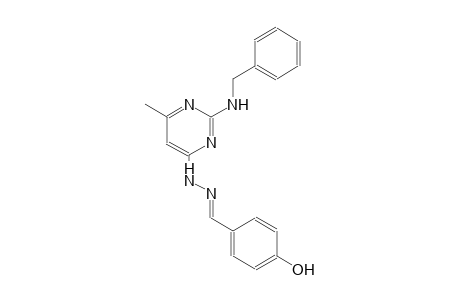 4-hydroxybenzaldehyde [2-(benzylamino)-6-methyl-4-pyrimidinyl]hydrazone
