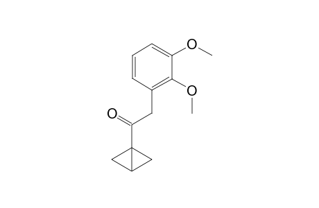 1-(Bicyclo[1.1.0]butan-1-yl)-2-(2,3-dimethoxyphenyl)ethan-1-one