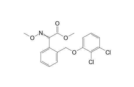 Benzeneacetic acid, 2-[(2,3-dichlorophenoxy)methyl]-alpha-(methoxyimino)-, methyl ester