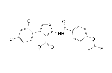 methyl 4-(2,4-dichlorophenyl)-2-{[4-(difluoromethoxy)benzoyl]amino}-3-thiophenecarboxylate