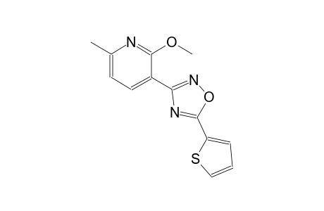 2-methoxy-6-methyl-3-[5-(2-thienyl)-1,2,4-oxadiazol-3-yl]pyridine